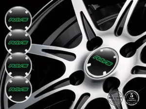 Rays Pegatinas de Aro para Autos Emblemas de Alta Calidad